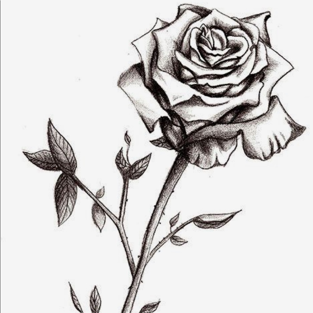 Meet your Posher, Carolina